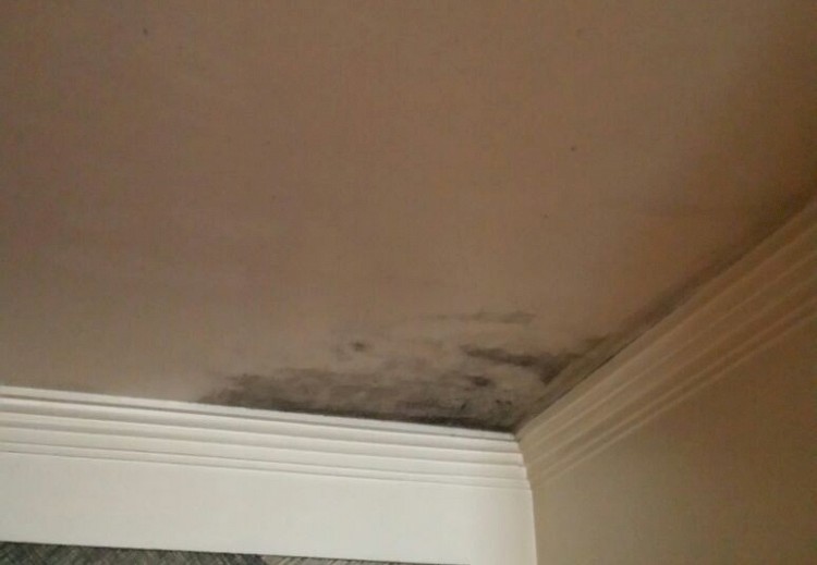 Pintura de Apartamento