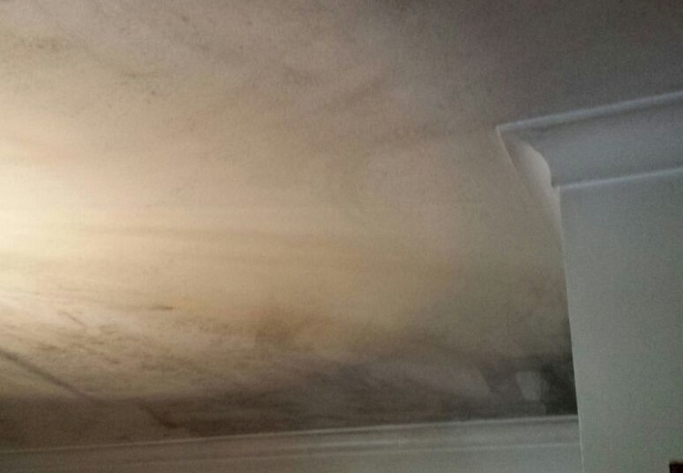 Pintura de Apartamento
