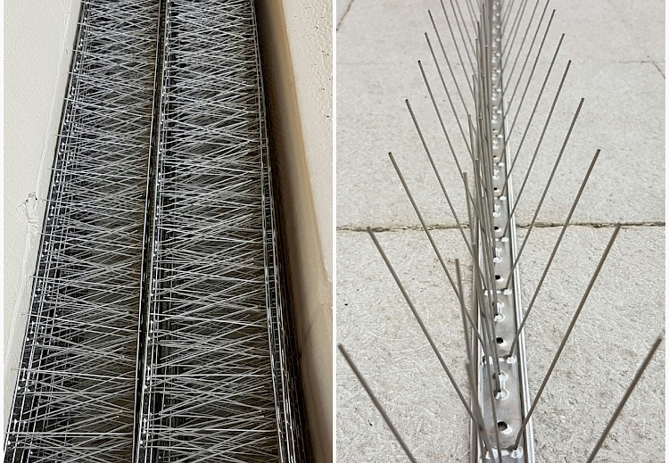 Sistemas anti-pombos